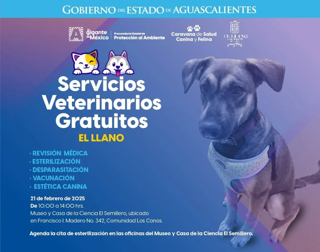 Servicios de salud caninos y felinos gratuitos en El Llano
