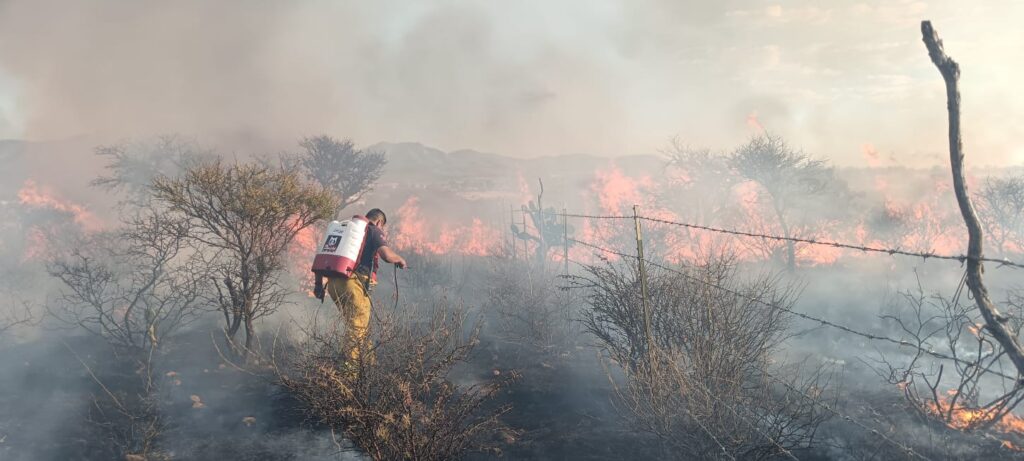600 hectáreas consumidas por Incendio Forestal, Jesús María
