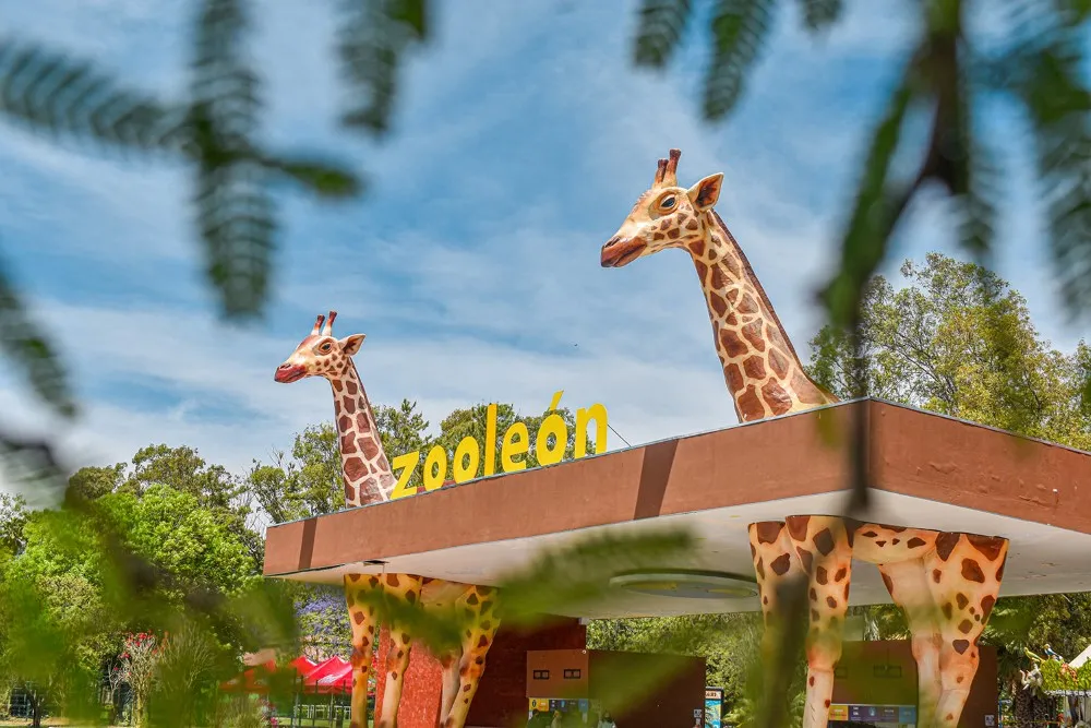 Casi 250 animales han muerto en el Zoológico de León