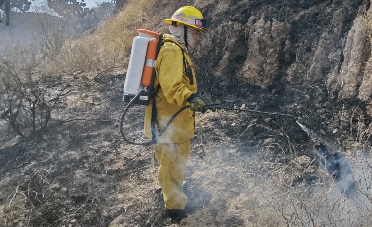 Protección Civil pide que se denuncien los incendios forestales