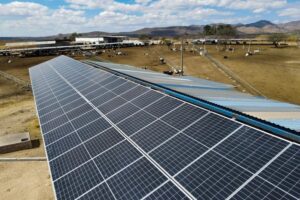 Lecheros y productores acuícolas pueden obtener paneles solares