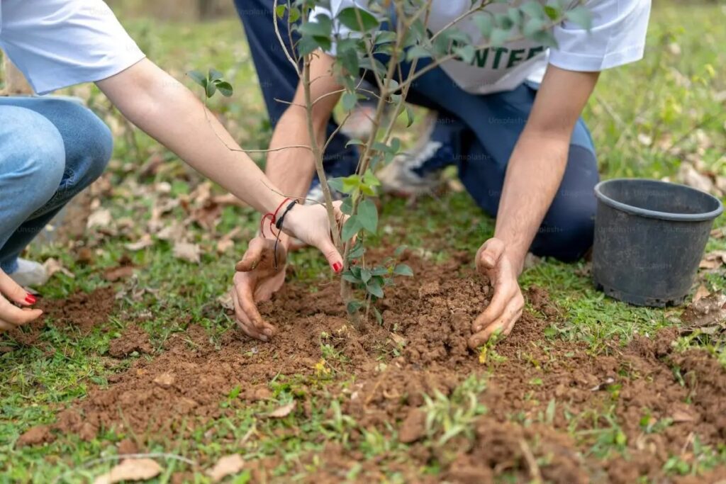 30 árboles por día son plantados en Aguascalientes