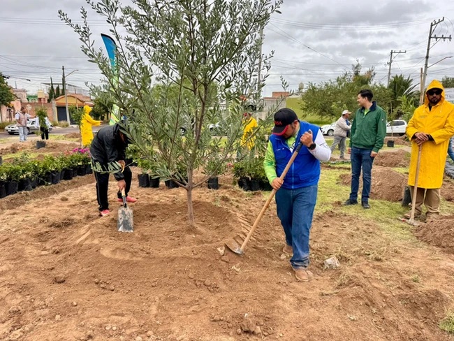 Termina la reforestación “Árboles Fuertes, Huellas Gigantes 2025”