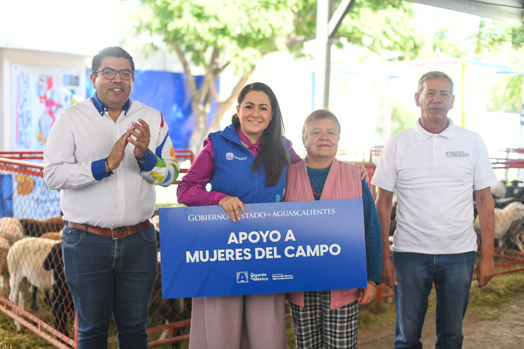 Entrega de borregos impulsa emprendimiento de mujeres del campo Noticias de Aguascalientes hoy