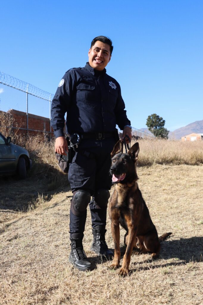 Valientes y leales: cómo el Grupo K9 de Aguascalientes protege con su olfato Noticias de Aguascalientes hoy