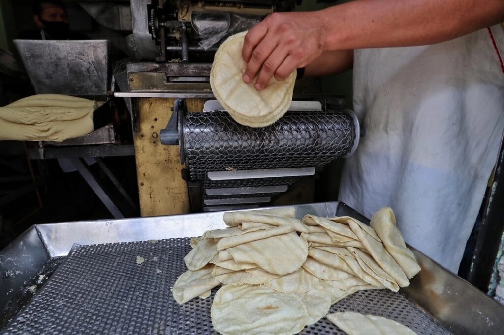 El 60% de las tortillerías en Aguascalientes no están reguladas
