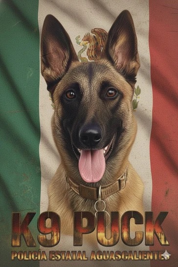 Nueva agente del K9 es especialista es detección de explosivos