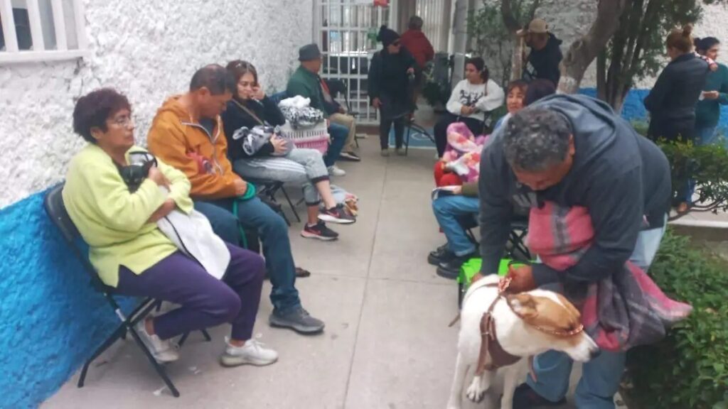 Ultima jornada de esterilización de mascotas en el año