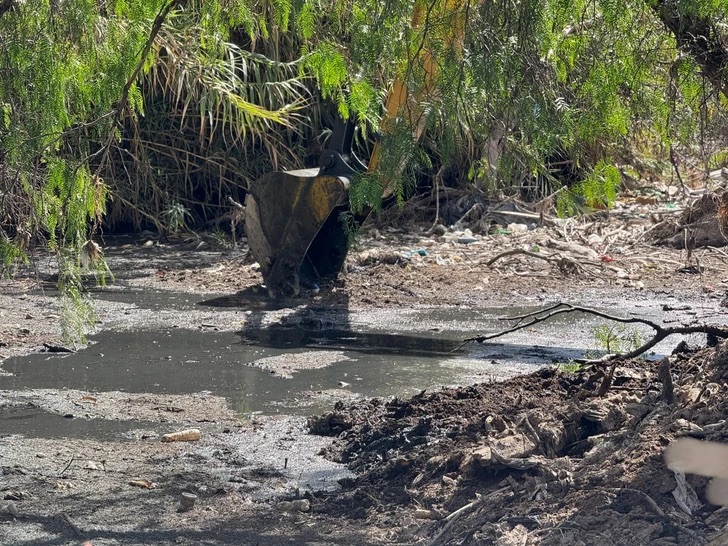 Mas de 180 toneladas de basura fueron retiradas del río San Pedro