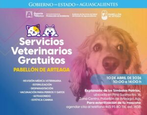 Este viernes habrá servicios veterinarios gratuitos en Pabellón de Arteaga
