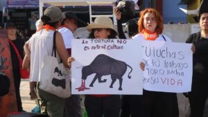 Corridas de toros violan la Ley de de Sanidad Animal: Colectivos