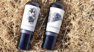 Vinos de Aguascalientes conquistan a España con medallas internacionales