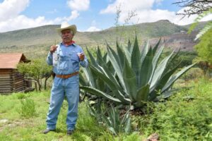 Aguascalientes impulsa a productores de mezcal para llegarlos a nuevos mercados