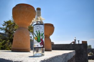 Diseñan estrategias que impulsen la exportación y posicionamiento del mezcal en Aguascalientes