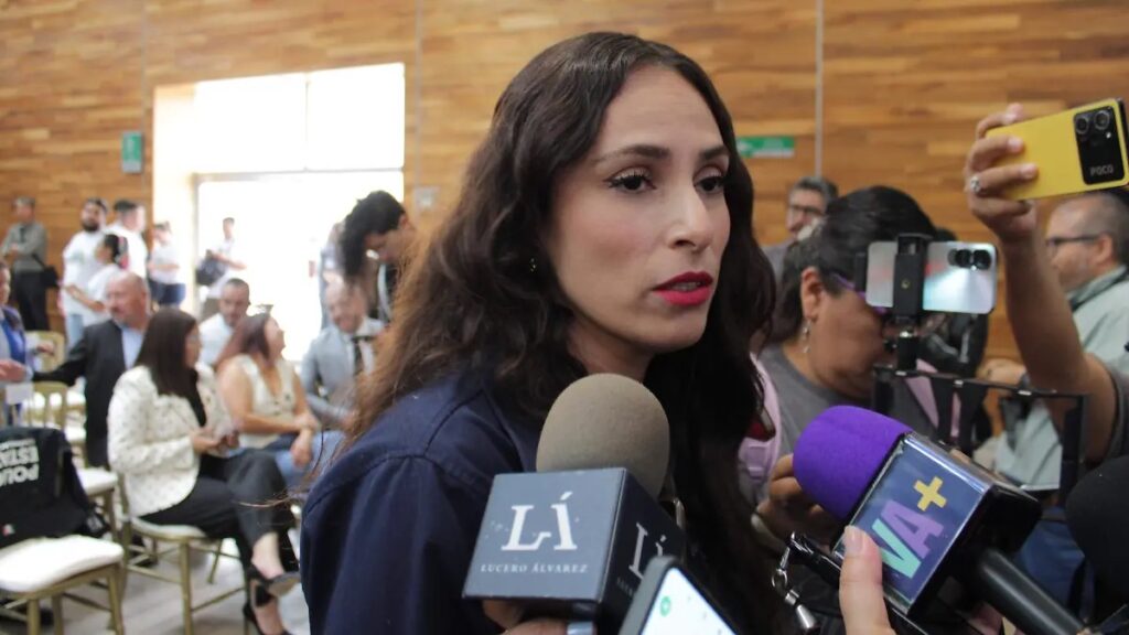80 colonias con mayor incidencia con violencia intrafamiliar en Aguascalientes